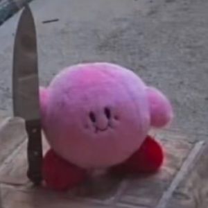 Meet your Posher, Bridger